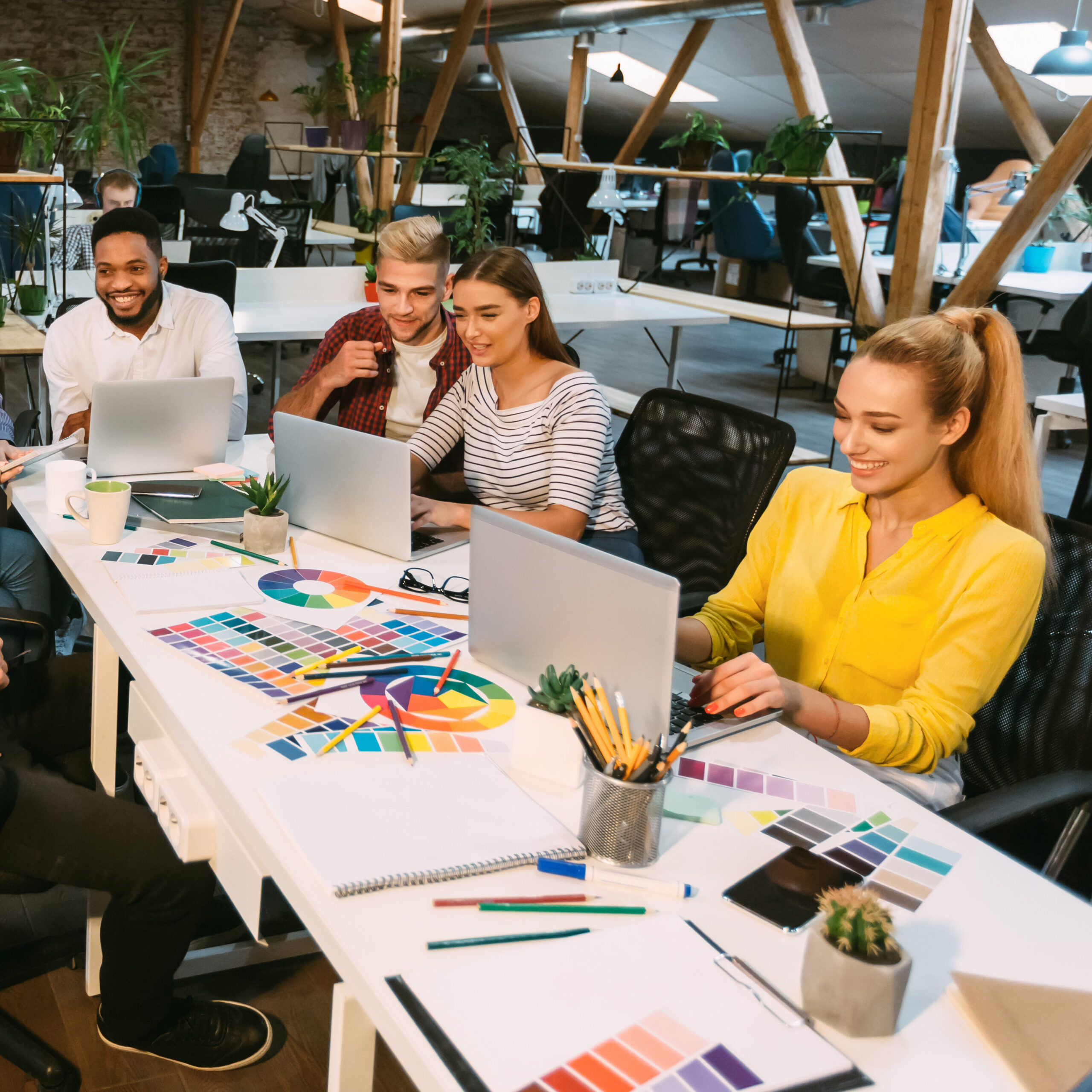 doctor website local SEO agency for doctors and small businesses